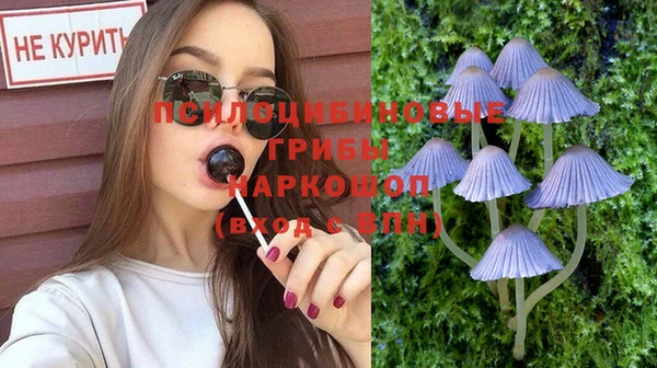 jwh Белокуриха