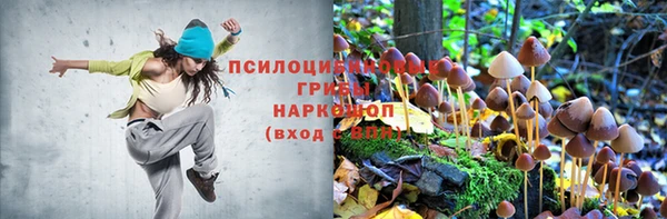 jwh Белокуриха