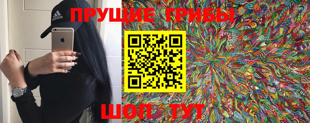 Богданович  Галлюциногенные грибы GOLDEN TEACHER  Вход с VPN 
