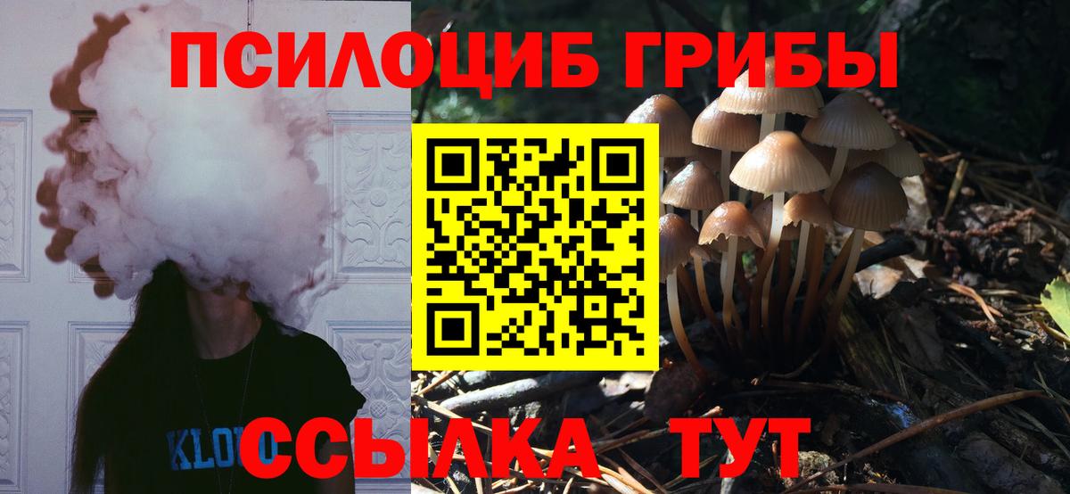 Галлюциногенные грибы MAGIC MUSHROOMS Богданович