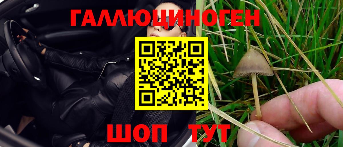 Галлюциногенные грибы Cubensis  Галлюциногенные грибы Psilocybe  купить наркоту  Богданович 